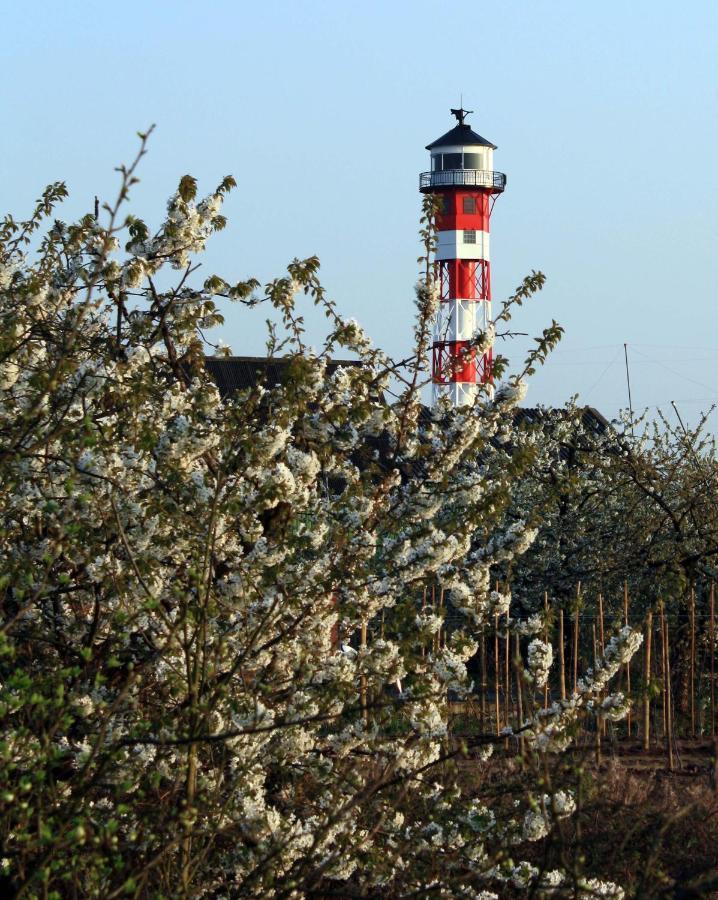 Fewo Blankenese Im Haus Luehegarten Grünendeich Exteriér fotografie